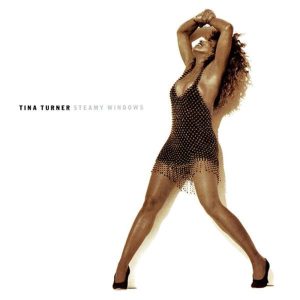 Tina Turner – Steamy Windows (The Singles) – EP(190295170578)【16bit／44.1kHz】土耳其区-OppsUnote音乐广场