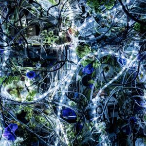 Aimer – ninelie EP(4547557044904)【16bit／44.1kHz】日本区-OppsUnote音乐广场