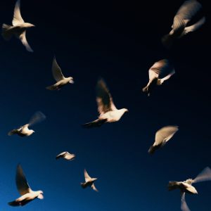 SWIM – Are You The One – Single(741728323193)【24bit／44.1kHz】印度区-OppsUnote音乐广场