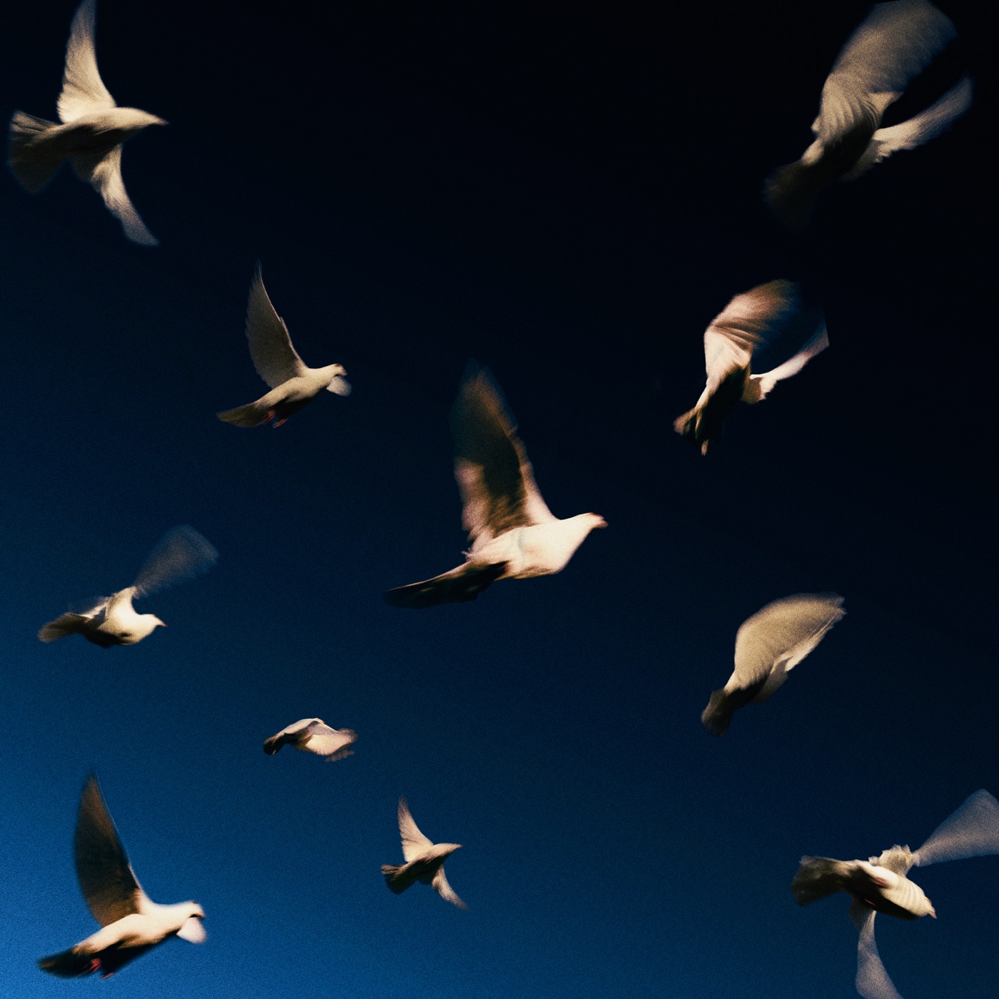 SWIM – Are You The One – Single(741728323193)【24bit／44.1kHz】印度区-OppsUnote音乐广场