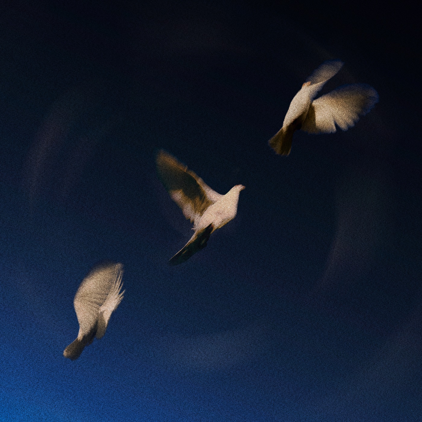 SWIM – Everything You Need – Single(741728324787)【24bit／44.1kHz】印度区-OppsUnote音乐广场