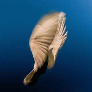 SWIM – Run Away – Single(646051976224)【24bit／48.0kHz】印度区-OppsUnote音乐广场