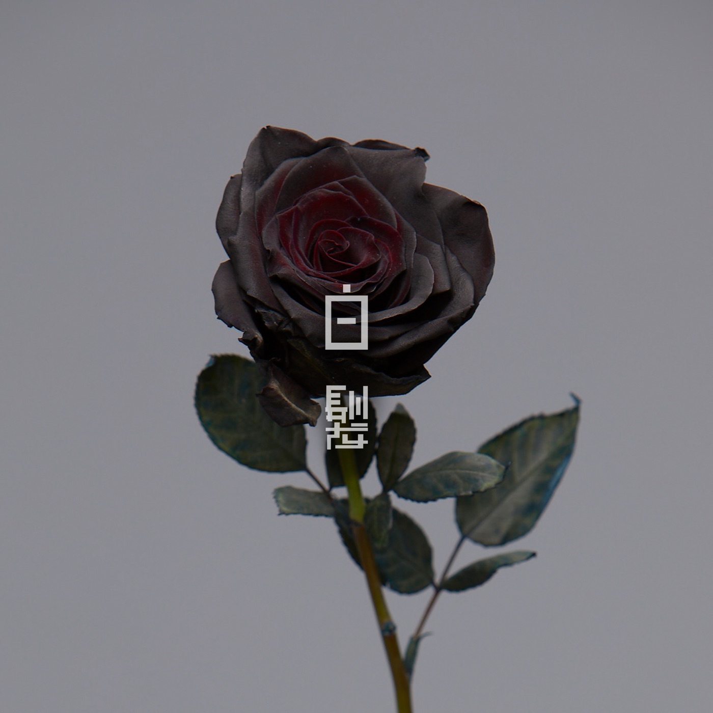 方大同 - 白发 - Single(190295439750)【16bit／44.1kHz】台湾区-OppsUnote音乐广场