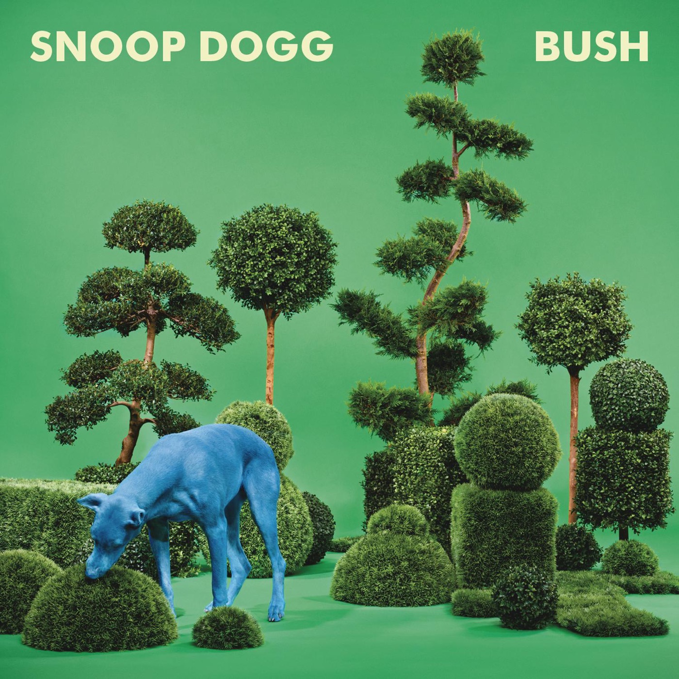 图片[1]-Snoop Dogg – BUSHⒺ(886445048674)【24bit／44.1kHz】土耳其区-OppsUnote音乐广场