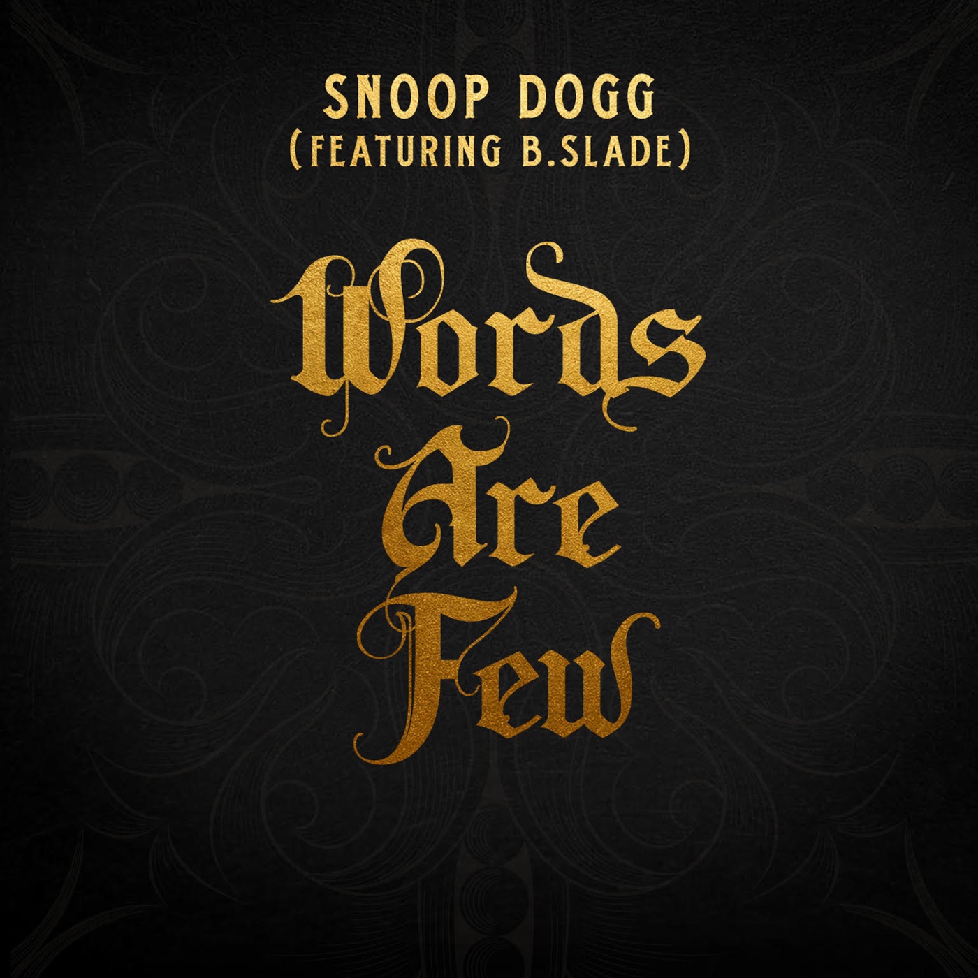 图片[1]-Snoop Dogg – Words Are Few (feat. B Slade) – Single(886446777597)【24bit／44.1kHz】土耳其区-OppsUnote音乐广场