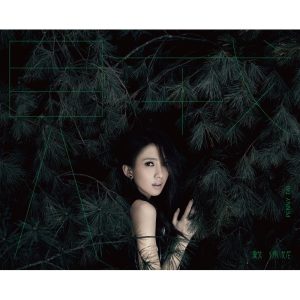 戴佩妮 – 贼(4712755013292)【24bit／44.1kHz】台湾区-OppsUnote音乐广场