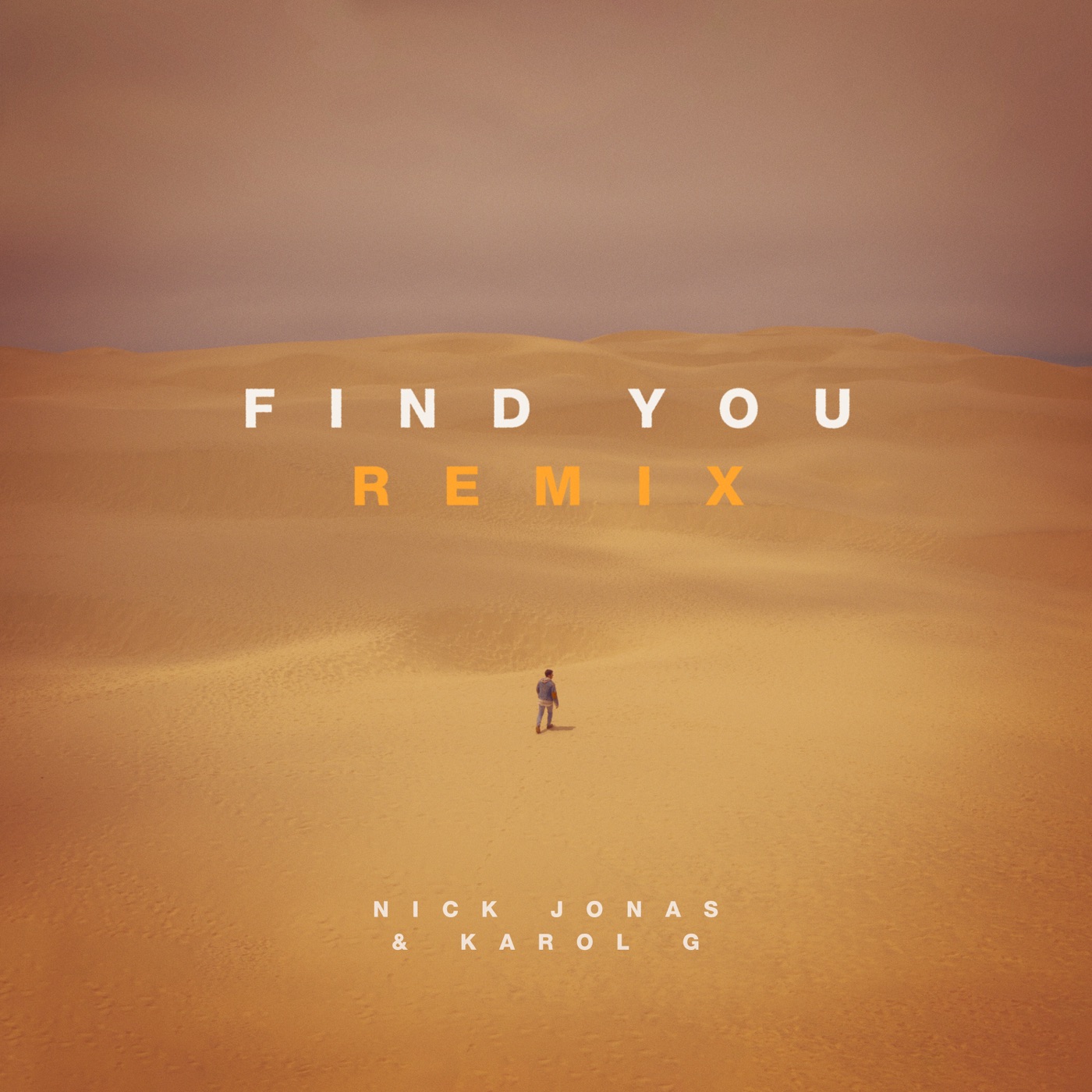 图片[1]-Nick Jonas – Find You (Remix) – Single(00602567247104)【24bit／44.1kHz】土耳其区-OppsUnote音乐广场