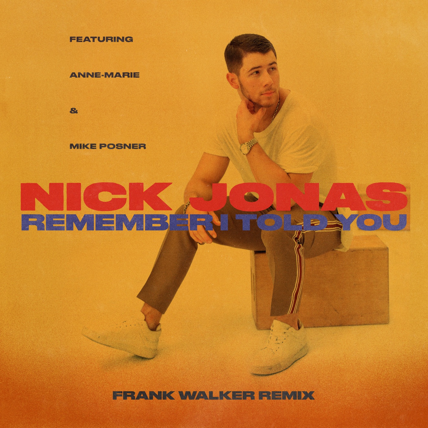 图片[1]-Nick Jonas – Remember I Told You (feat. Anne-Marie & Mike Posner) [Frank Walker Remix] – Single(00602557769586)【16bit／44.1kHz】土耳其区-OppsUnote音乐广场