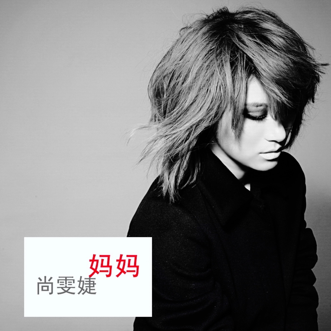 图片[1]-尚雯婕 – 妈妈 – Single(6941945177850)【16bit／44.1kHz】台湾区-OppsUnote音乐广场