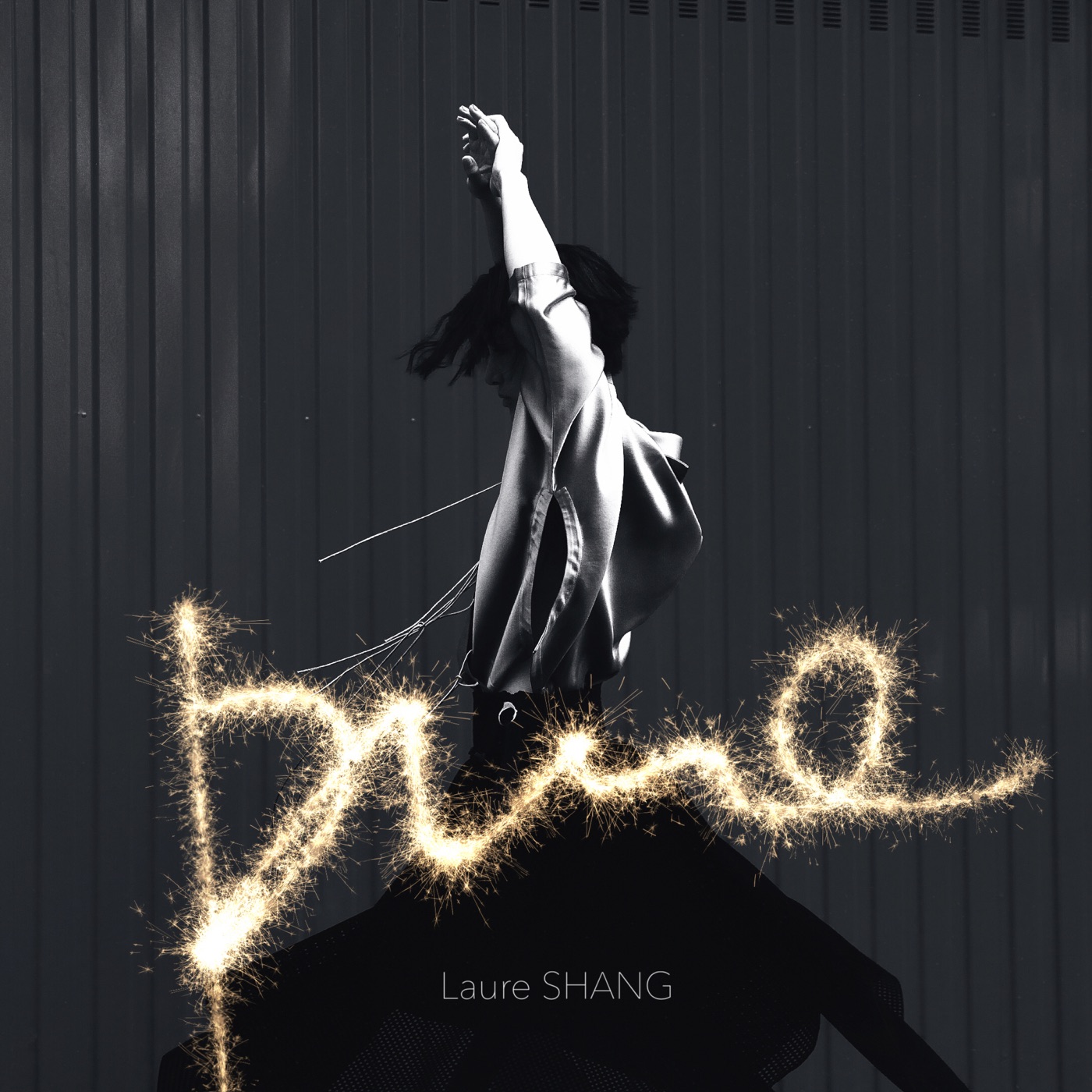 图片[1]-尚雯婕 – Black & Golden . pure(4894972523980)【16bit／44.1kHz】台湾区-OppsUnote音乐广场