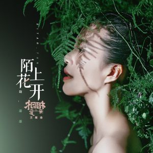 谭维维 – 陌上花开 (电影《相爱相亲》主题曲) – Single(4718009861084)【24bit／48.0kHz】台湾区-OppsUnote音乐广场