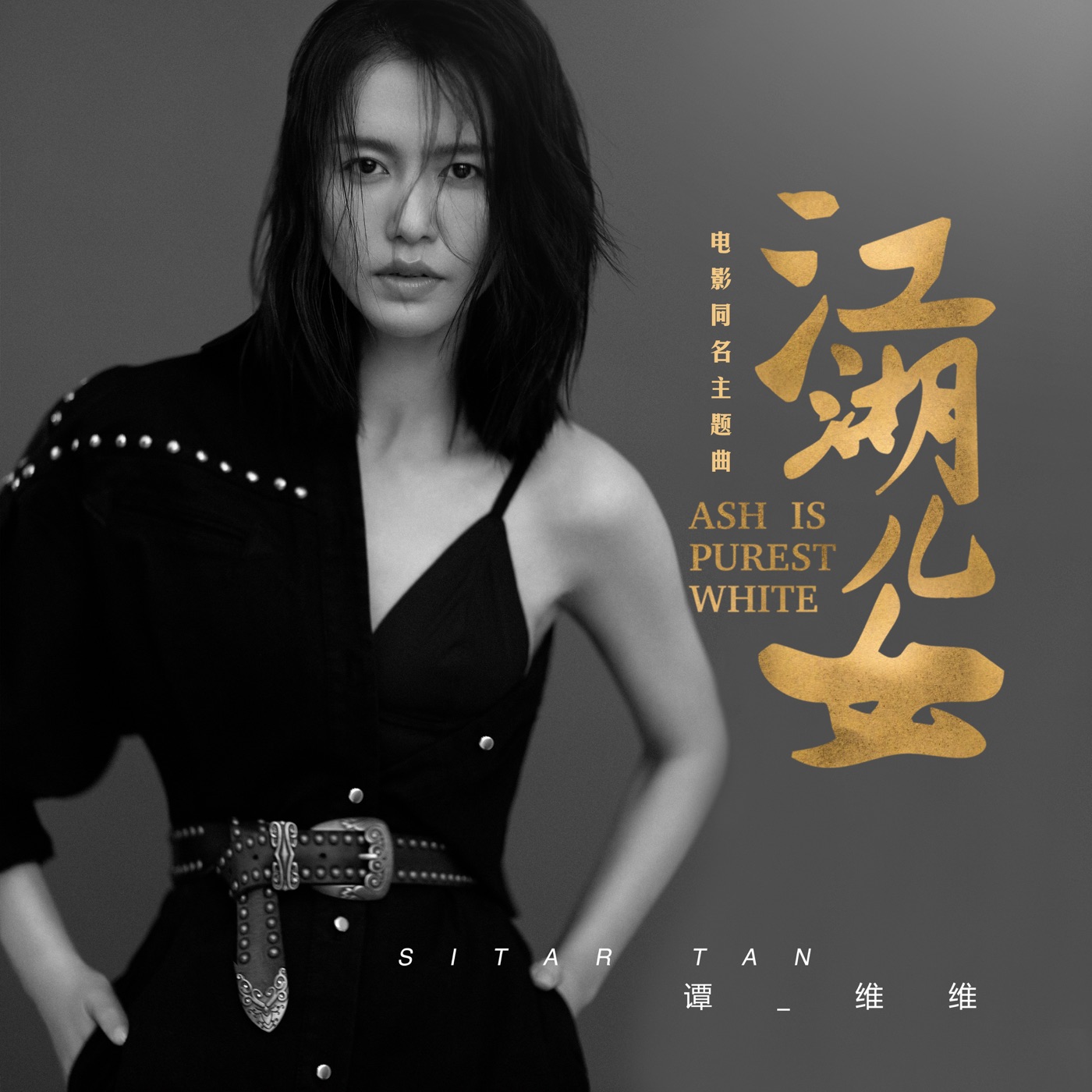 图片[1]-谭维维 – 江湖儿女 (电影《江湖儿女》同名主题曲) – Single(4718009861619)【24bit／48.0kHz】台湾区-OppsUnote音乐广场