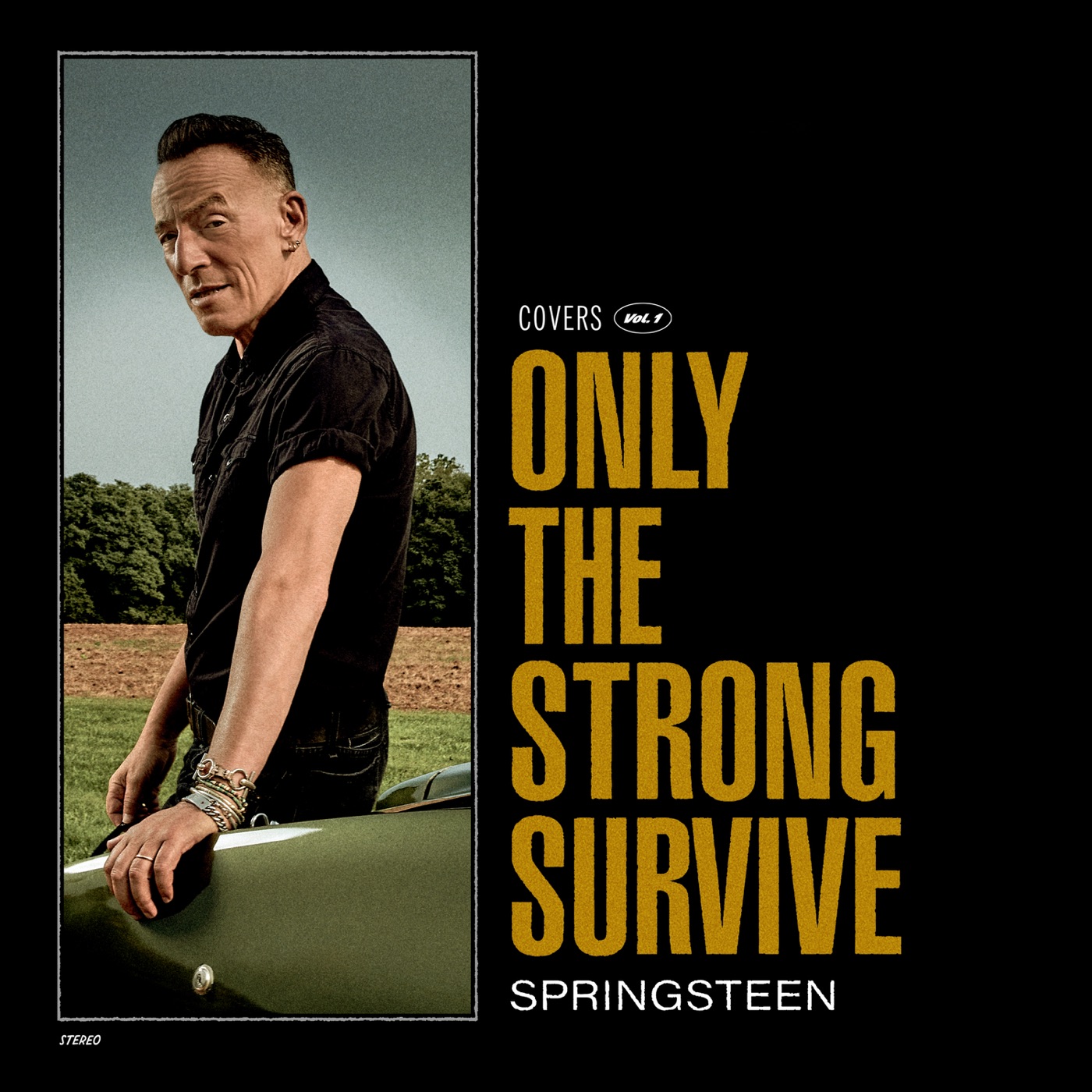 图片[1]-Bruce Springsteen – Only the Strong Survive(196589231055)【24bit／96.0kHz】土耳其区-OppsUnote音乐广场