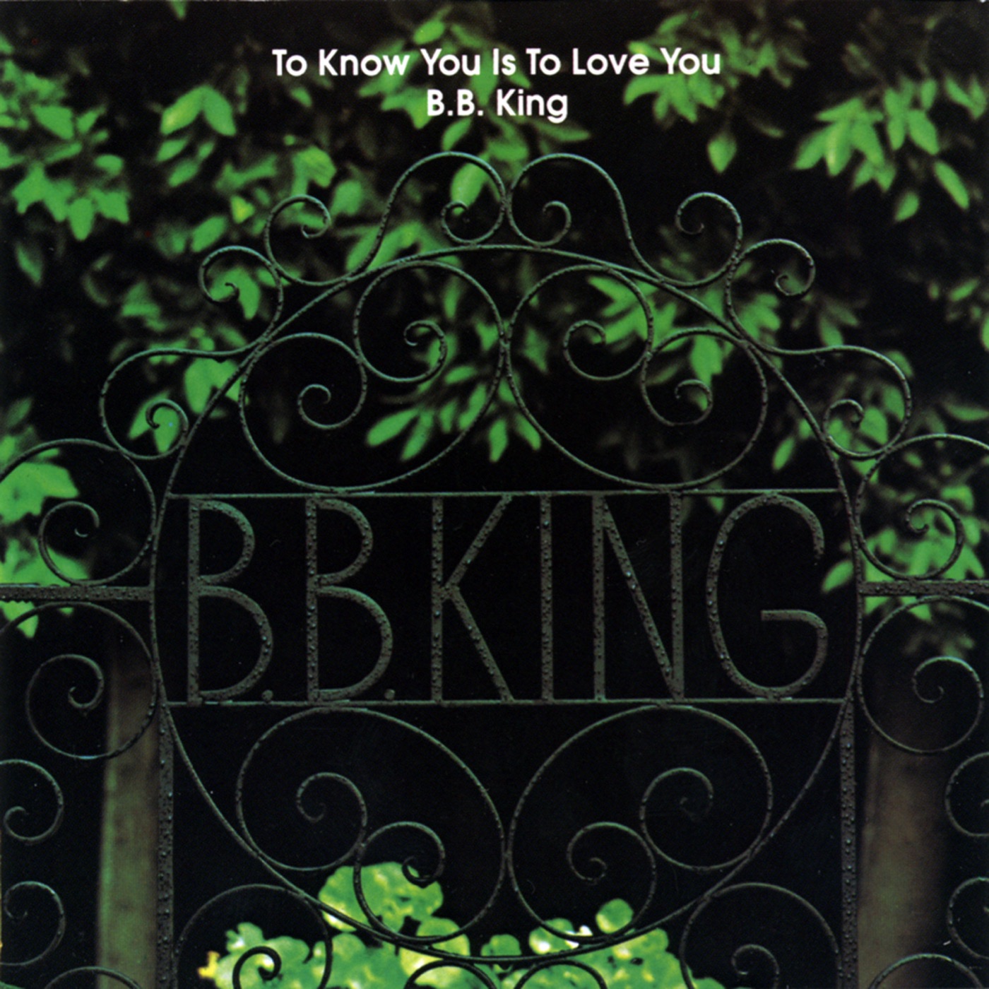 图片[1]-B.B. King – To Know You Is To Love You(00602547482402)【24bit／44.1kHz】土耳其区-OppsUnote音乐广场