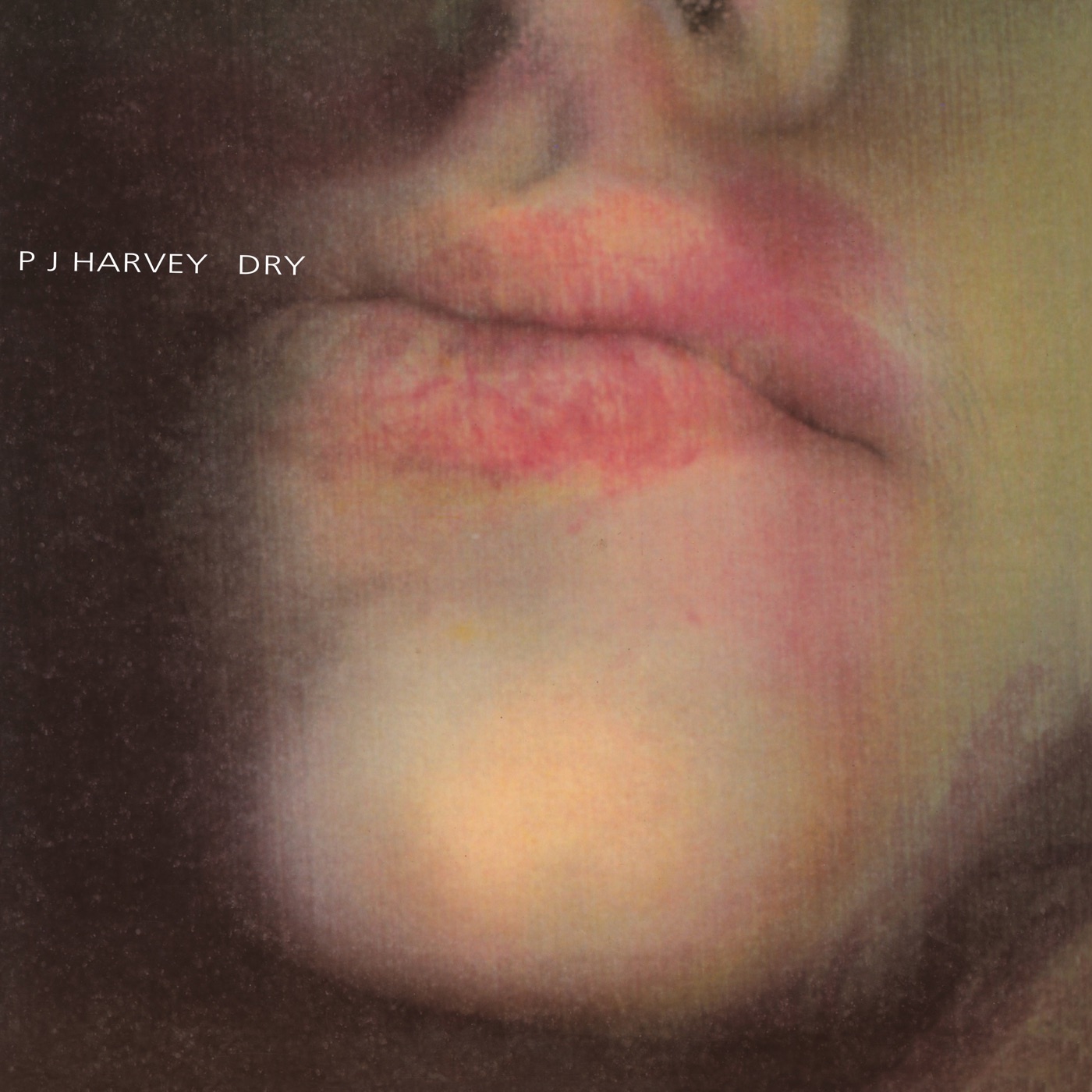 图片[1]-PJ Harvey – Dry(644918001065)【16bit／44.1kHz】土耳其区-OppsUnote音乐广场
