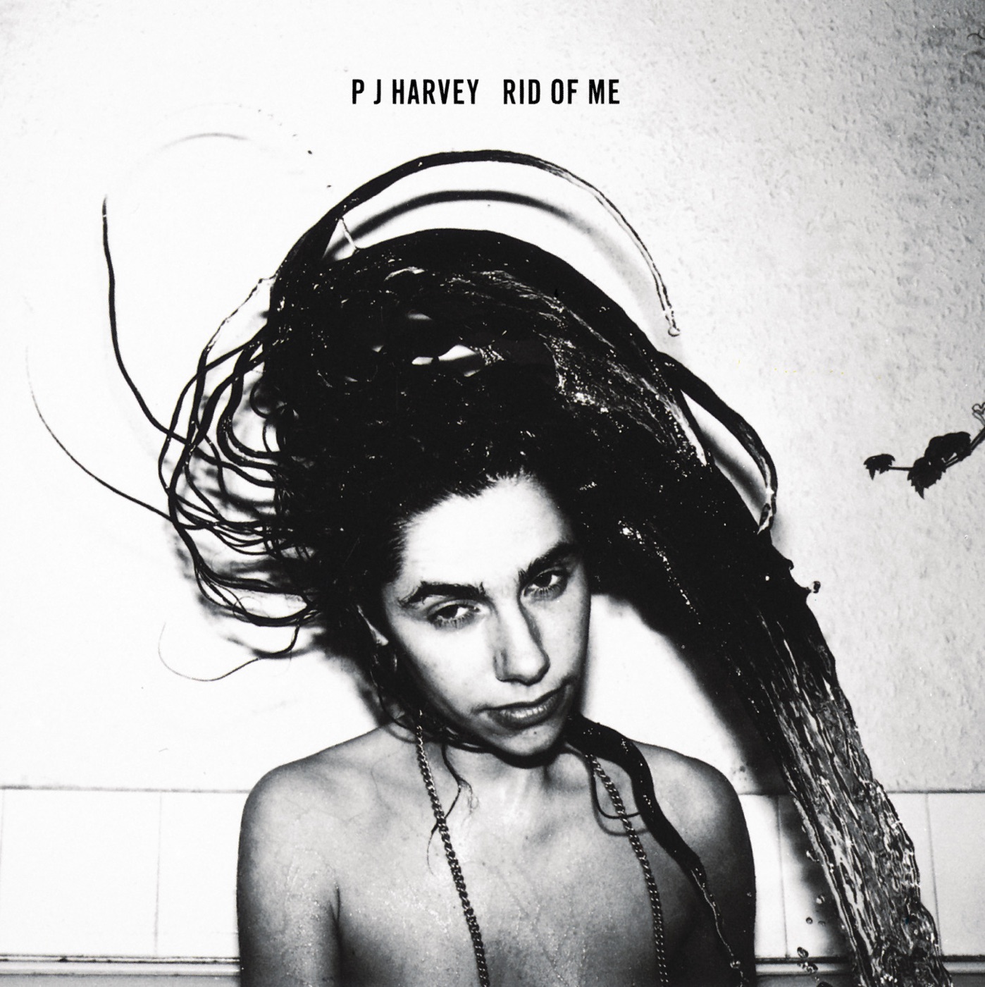 图片[1]-PJ Harvey – Rid of MeⒺ(00731451469626)【16bit／44.1kHz】土耳其区-OppsUnote音乐广场