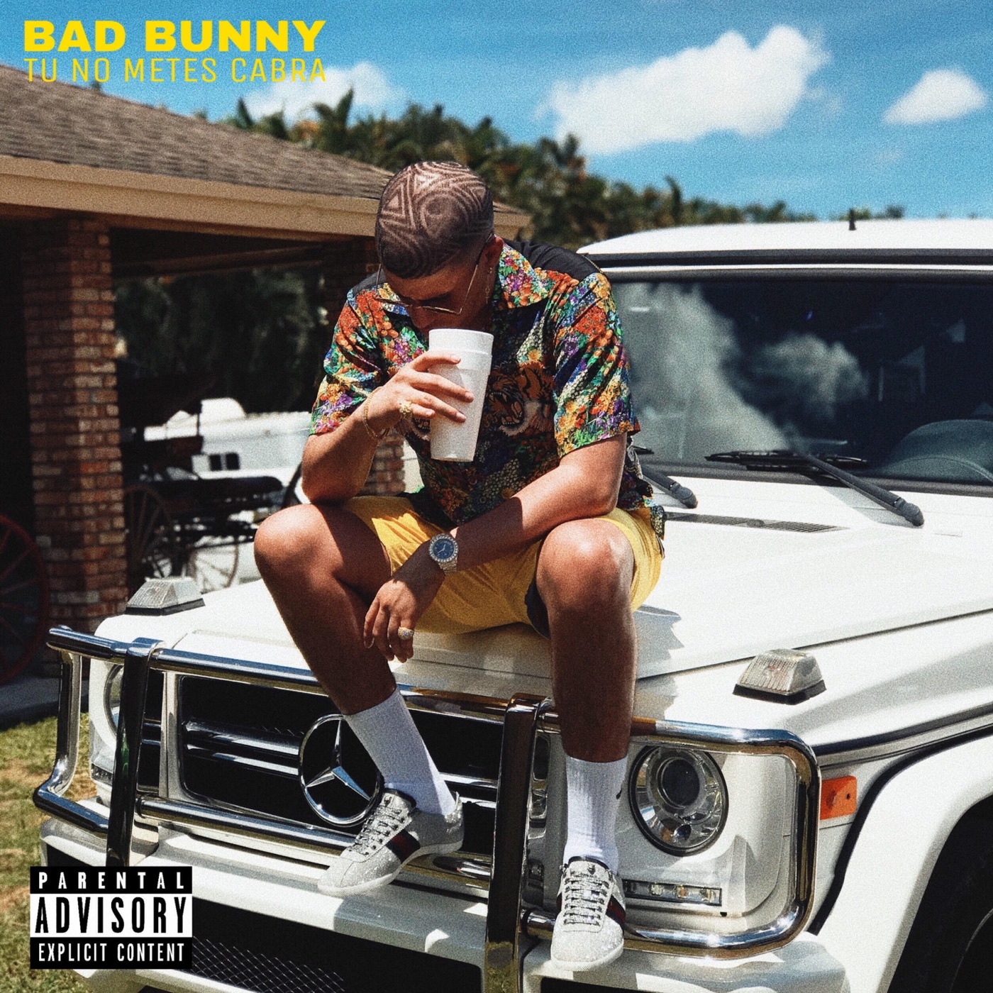 图片[1]-Bad Bunny – Tú No Metes Cabra – SingleⒺ(191079582174)【16bit／44.1kHz】土耳其区-OppsUnote音乐广场