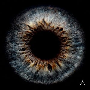 林宥嘉 – Apples of Thy Eye(4711280335558)【24bit／48.0kHz】台湾区-OppsUnote音乐广场