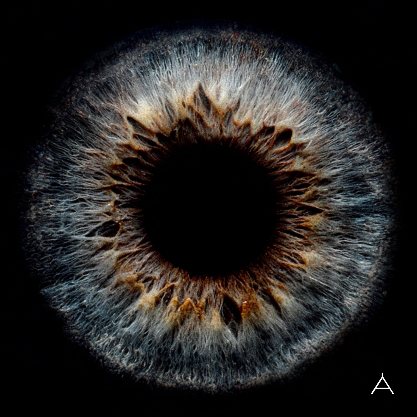 林宥嘉 – Apples of Thy Eye(4711280335558)【24bit／48.0kHz】台湾区-OppsUnote音乐广场