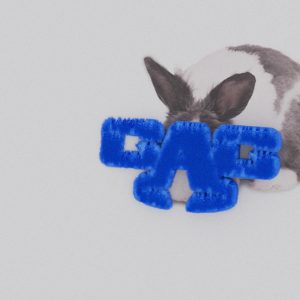 Capper – 蓝本 – SingleⒺ(3616848319647)【24bit／48.0kHz】台湾区-OppsUnote音乐广场