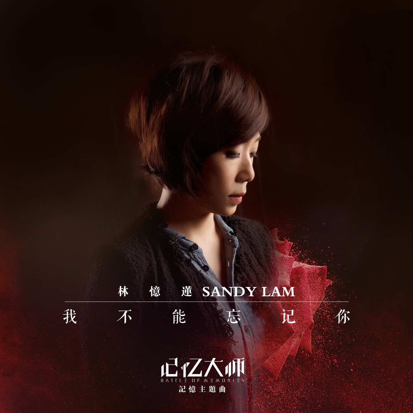 图片[1]-林忆莲 – 我不能忘记你 (电影《记忆大师》记忆主题曲) – Single(4717398664290)【24bit／48.0kHz】台湾区-OppsUnote音乐广场