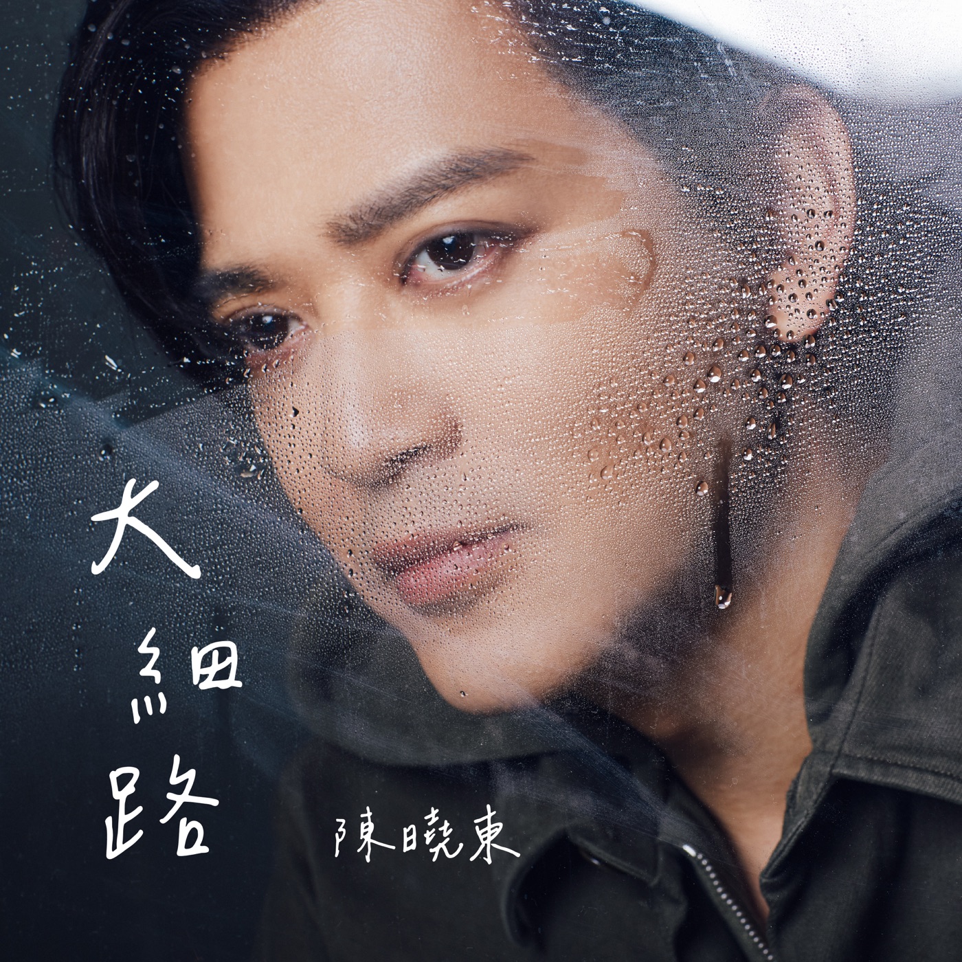 陈晓东 - 大细路 - Single(4897004795409)【24bit／48.0kHz】台湾区-OppsUnote音乐广场