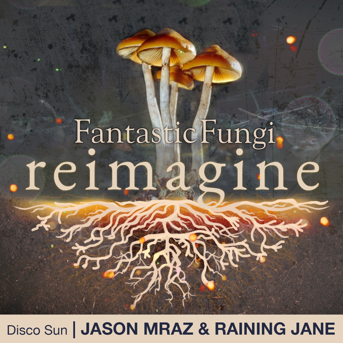 Jason Mraz - Disco Sun (Fantastic Fungi： Reimagine) - Single(717147021170)【16bit／44.1kHz】土耳其区-OppsUnote音乐广场