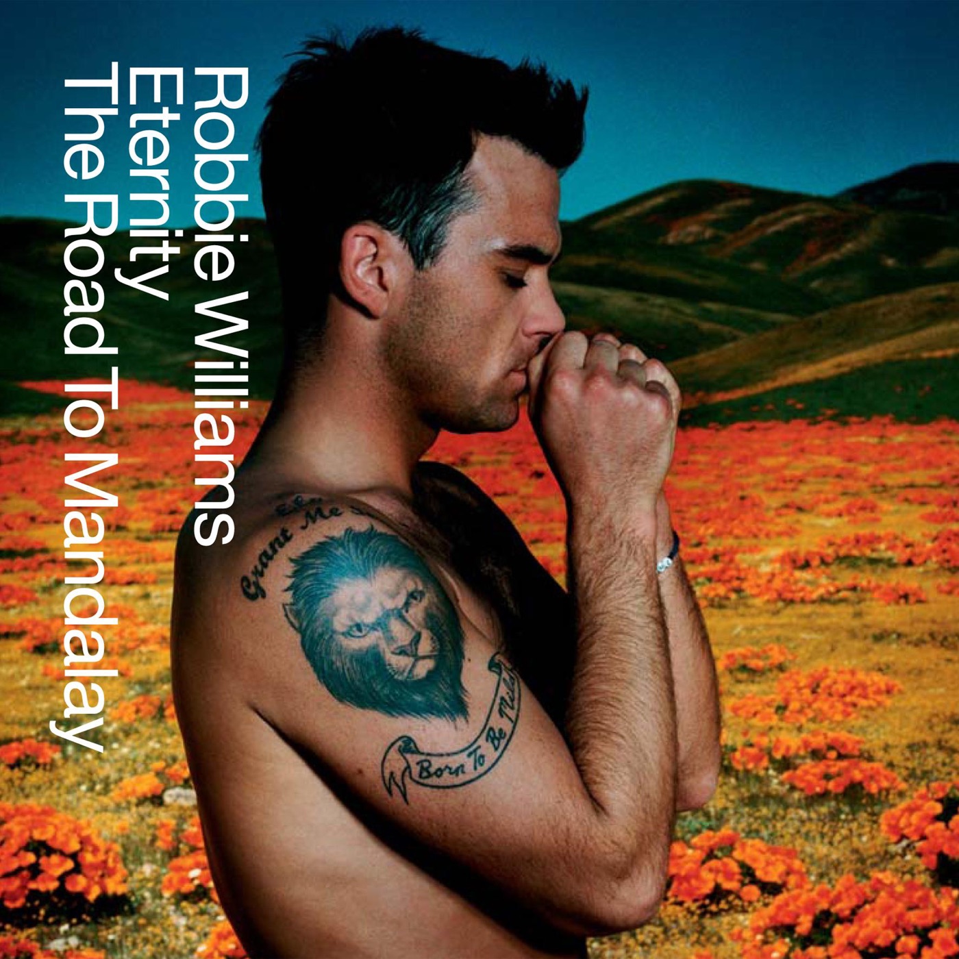 图片[1]-Robbie Williams – Eternity ／ The Road to Mandalay – Single(00724387967458)【16bit／44.1kHz】土耳其区-OppsUnote音乐广场