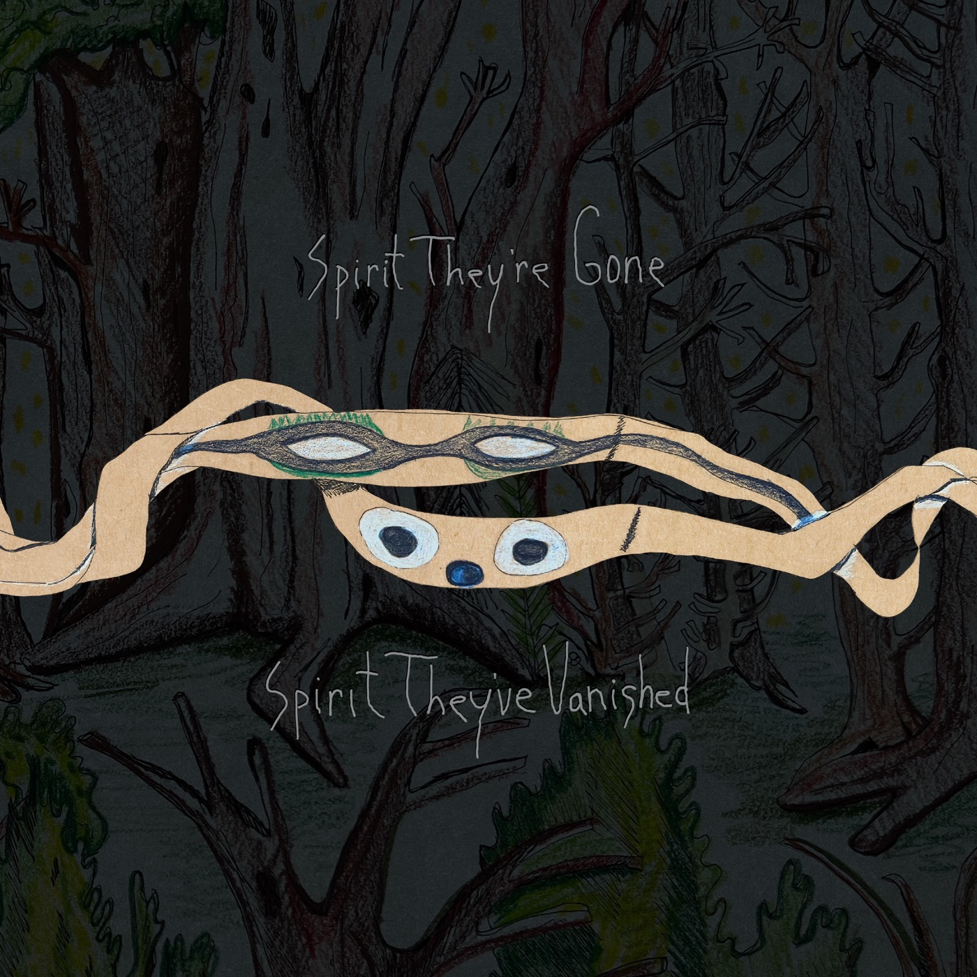 图片[1]-Animal Collective – Spirit They’re Gone, Spirit They’ve Vanished (Remastered 2023)(887830017565)【24bit／44.1kHz】美国区-OppsUnote音乐广场
