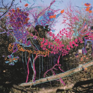 Animal Collective – Ark(194606000561)【16bit／44.1kHz】美国区-OppsUnote音乐广场