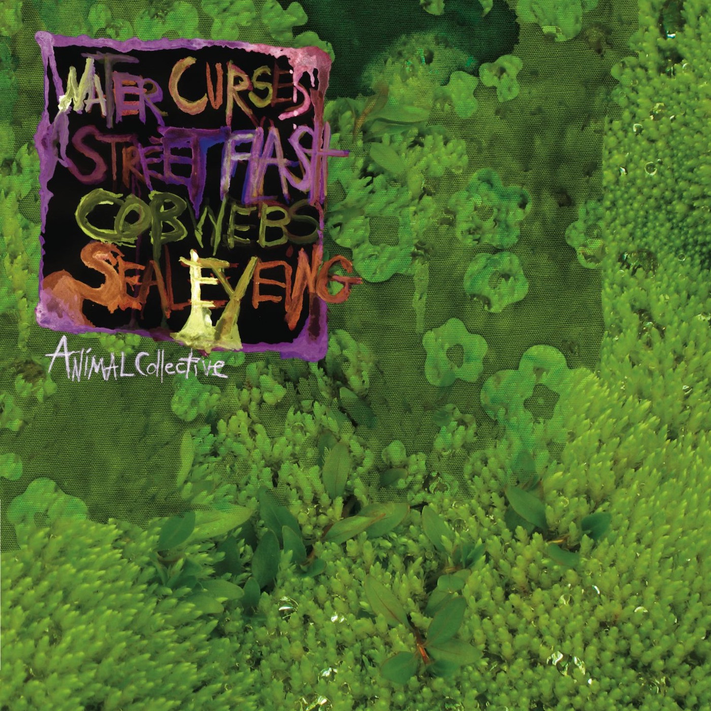 图片[1]-Animal Collective – Water Curses – EP(801390016967)【16bit／44.1kHz】美国区-OppsUnote音乐广场