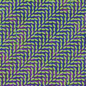 Animal Collective – Merriweather Post Pavilion(5034202021643)【16bit／44.1kHz】美国区-OppsUnote音乐广场