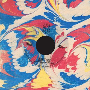 Animal Collective – Honeycomb ／ Gotham – Single(5034202147756)【16bit／44.1kHz】美国区-OppsUnote音乐广场