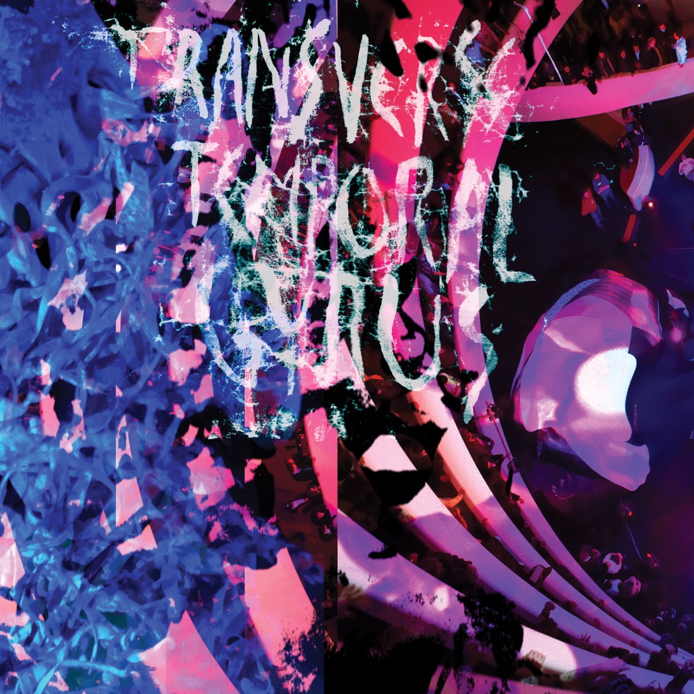 图片[1]-Animal Collective – Transverse Temporal Gyrus – EP(5034202147152)【16bit／44.1kHz】美国区-OppsUnote音乐广场