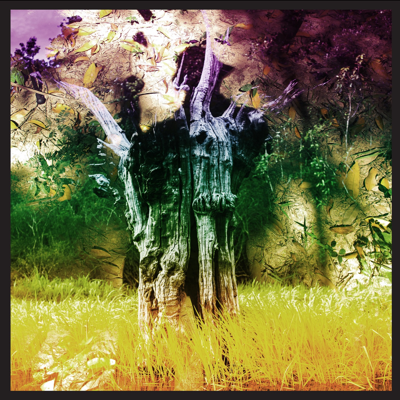 图片[1]-Animal Collective – Meeting of the Waters – EP(887829081362)【24bit／96.0kHz】美国区-OppsUnote音乐广场
