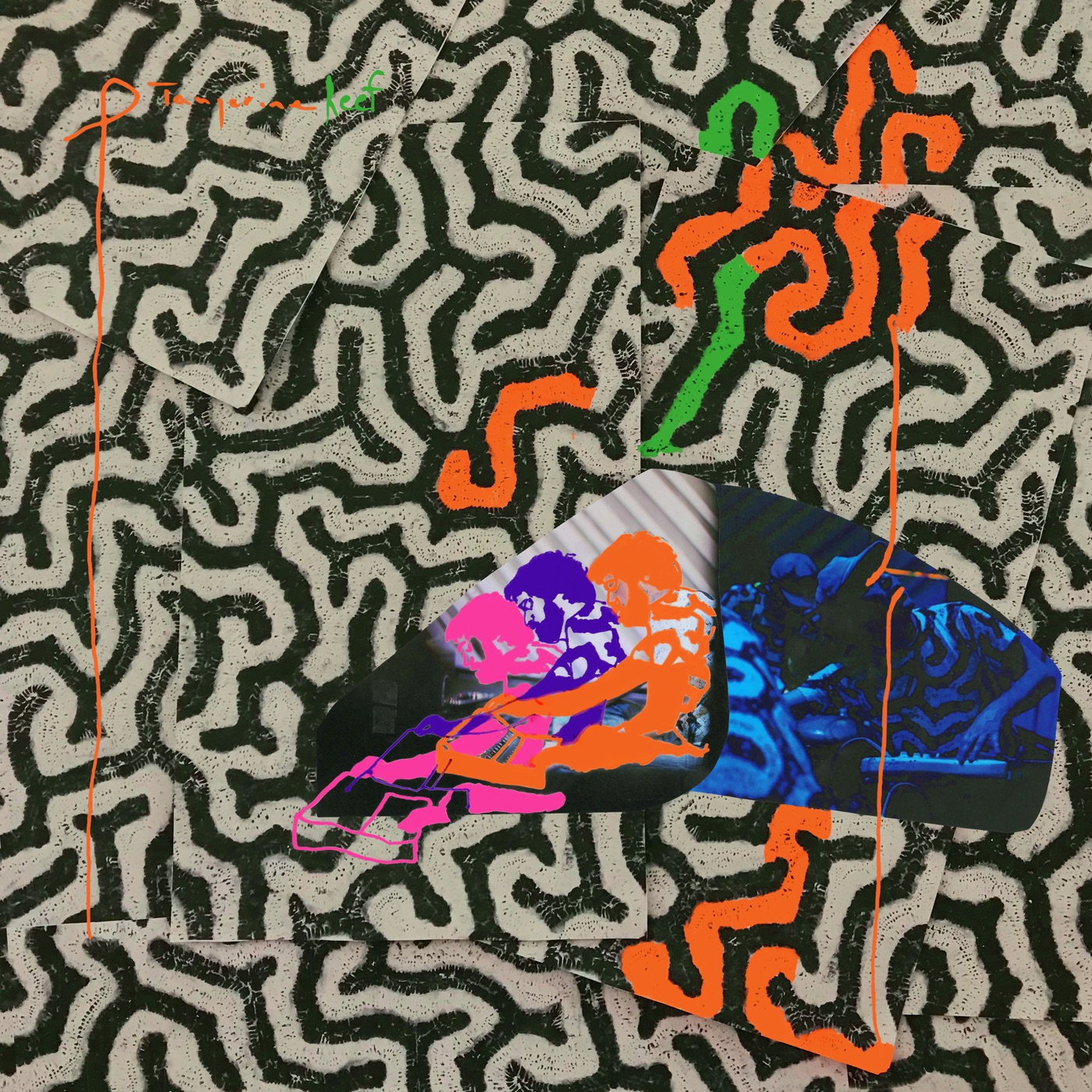 图片[1]-Animal Collective – Tangerine Reef(887828043064)【24bit／96.0kHz】美国区-OppsUnote音乐广场