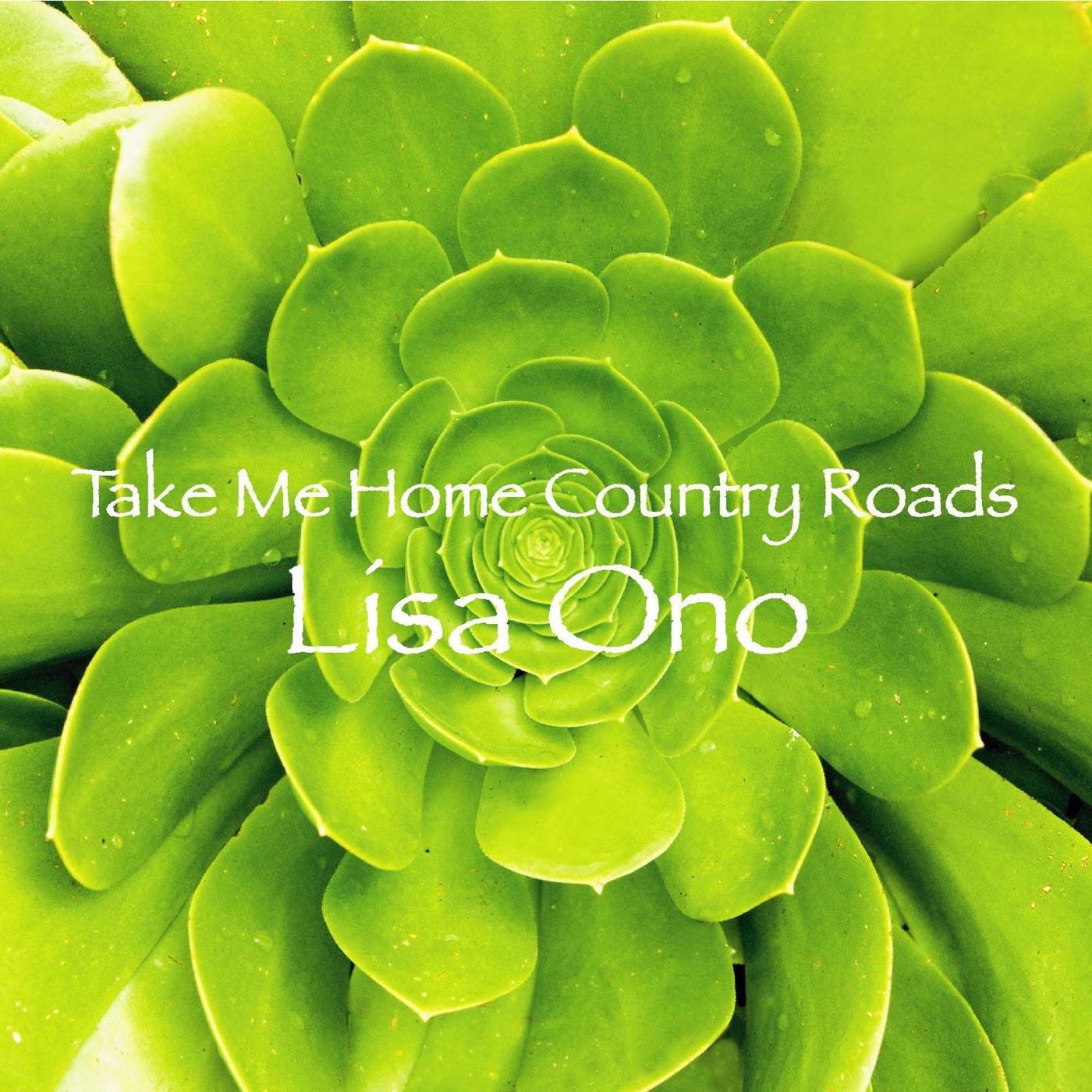 图片[1]-小野リサ – Take Me Home Country Roads – Single(00094636833750)【16bit／44.1kHz】日本区-OppsUnote音乐广场