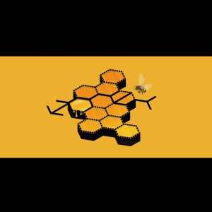 张艺兴 – Honey – EP(3615939323990)【16bit／44.1kHz】台湾区-OppsUnote音乐广场