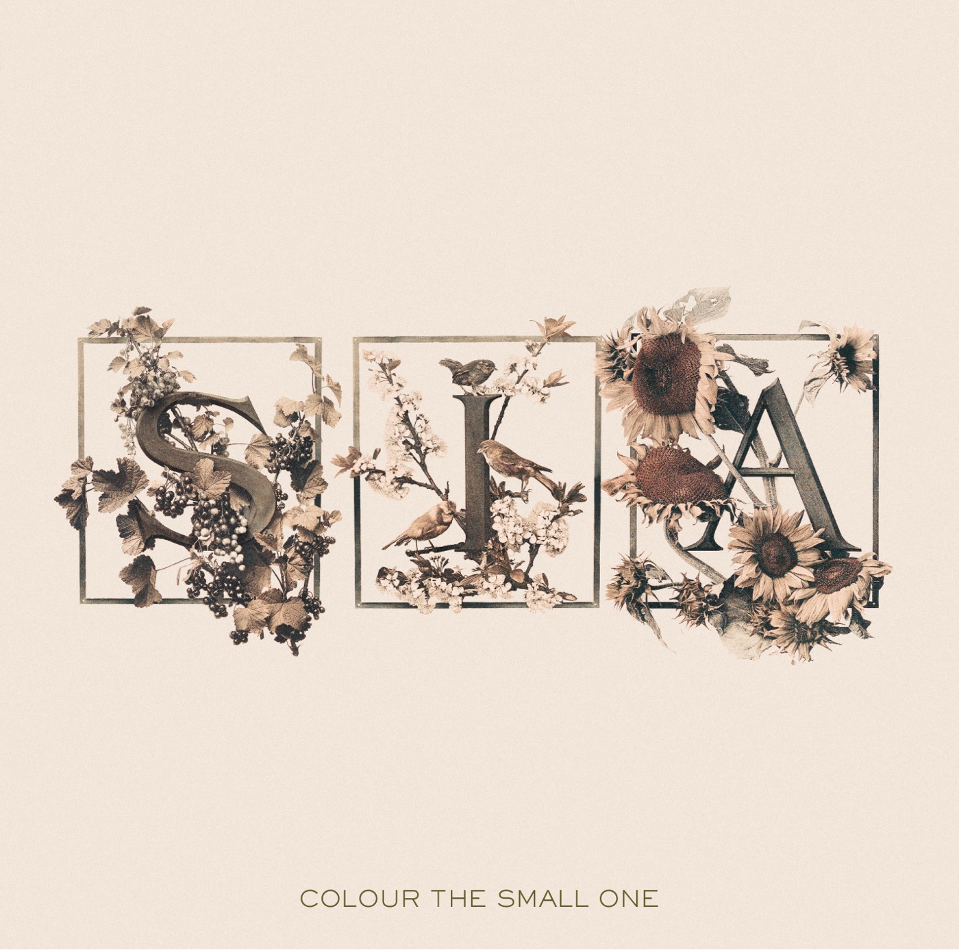 Sia - Colour The Small One(00602498661031)【16bit／44.1kHz】土耳其区-OppsUnote音乐广场