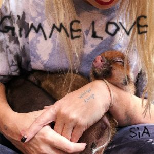 Sia – Gimme Love (Reasonable Woman Version) – Single(075679669025)【24bit／44.1kHz】土耳其区-OppsUnote音乐广场