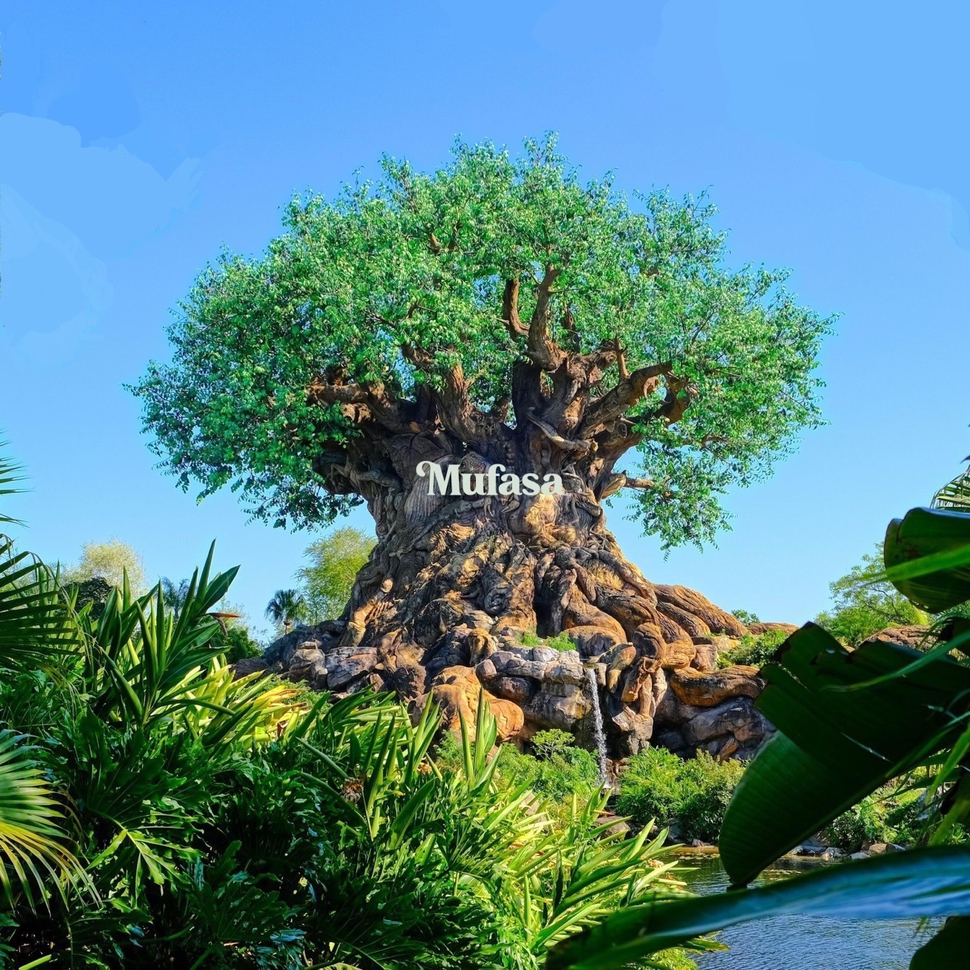 图片[1]-Fulton Lee – Mufasa – Single(198080711135)【24bit／44.1kHz】土耳其区-OppsUnote音乐广场
