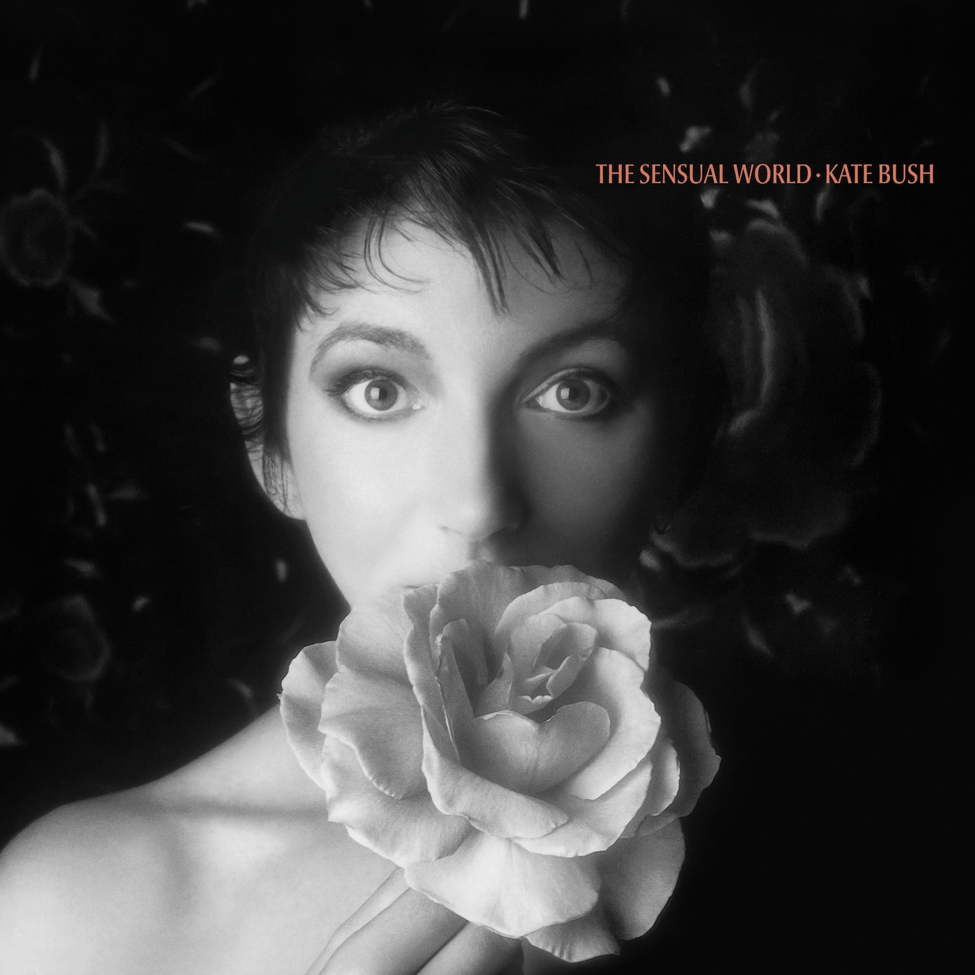 Kate Bush - The Sensual World (2018 Remaster)(190295511661)【24bit／44.1kHz】土耳其区-OppsUnote音乐广场