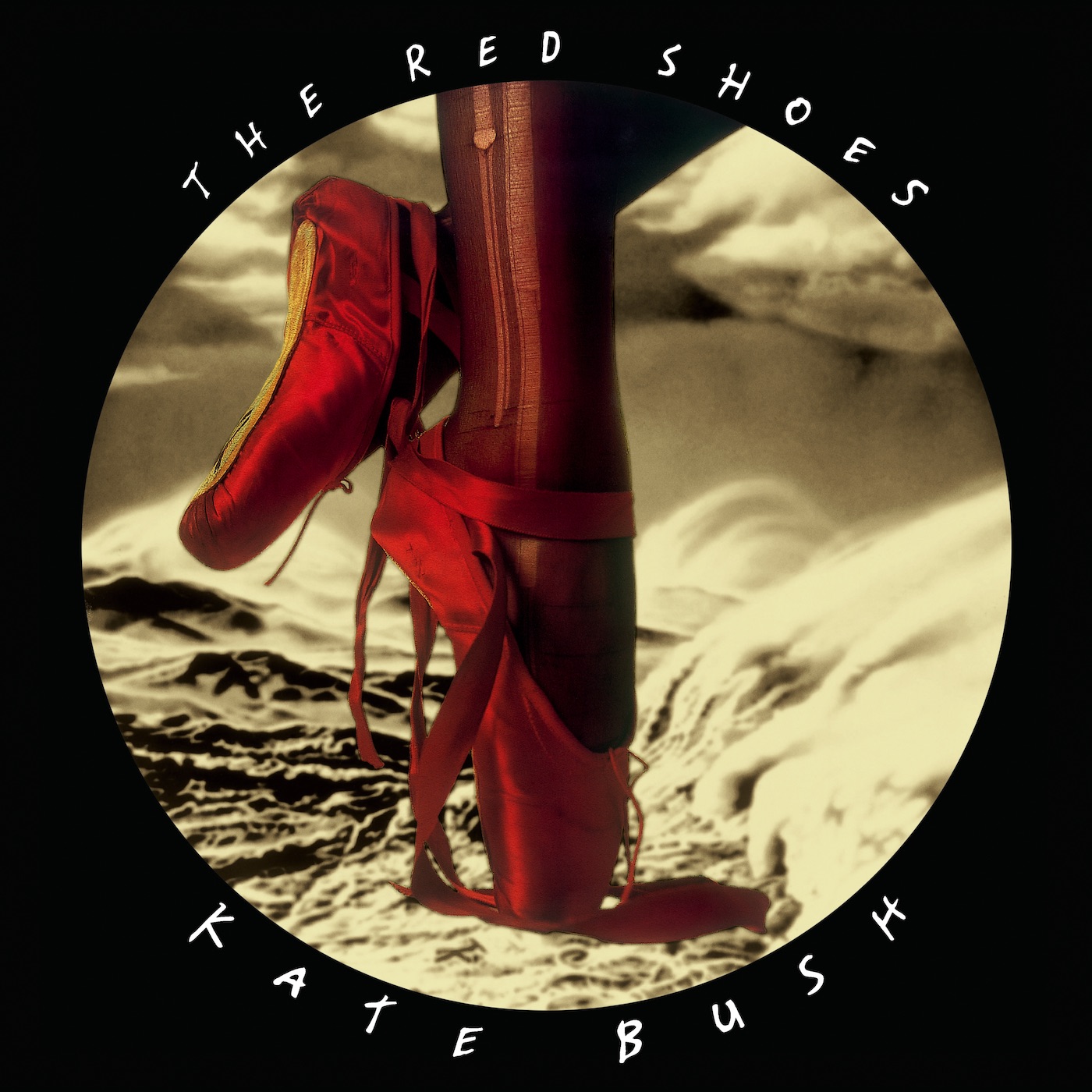 Kate Bush - The Red Shoes (2018 Remaster)(190295511579)【24bit／44.1kHz】土耳其区-OppsUnote音乐广场