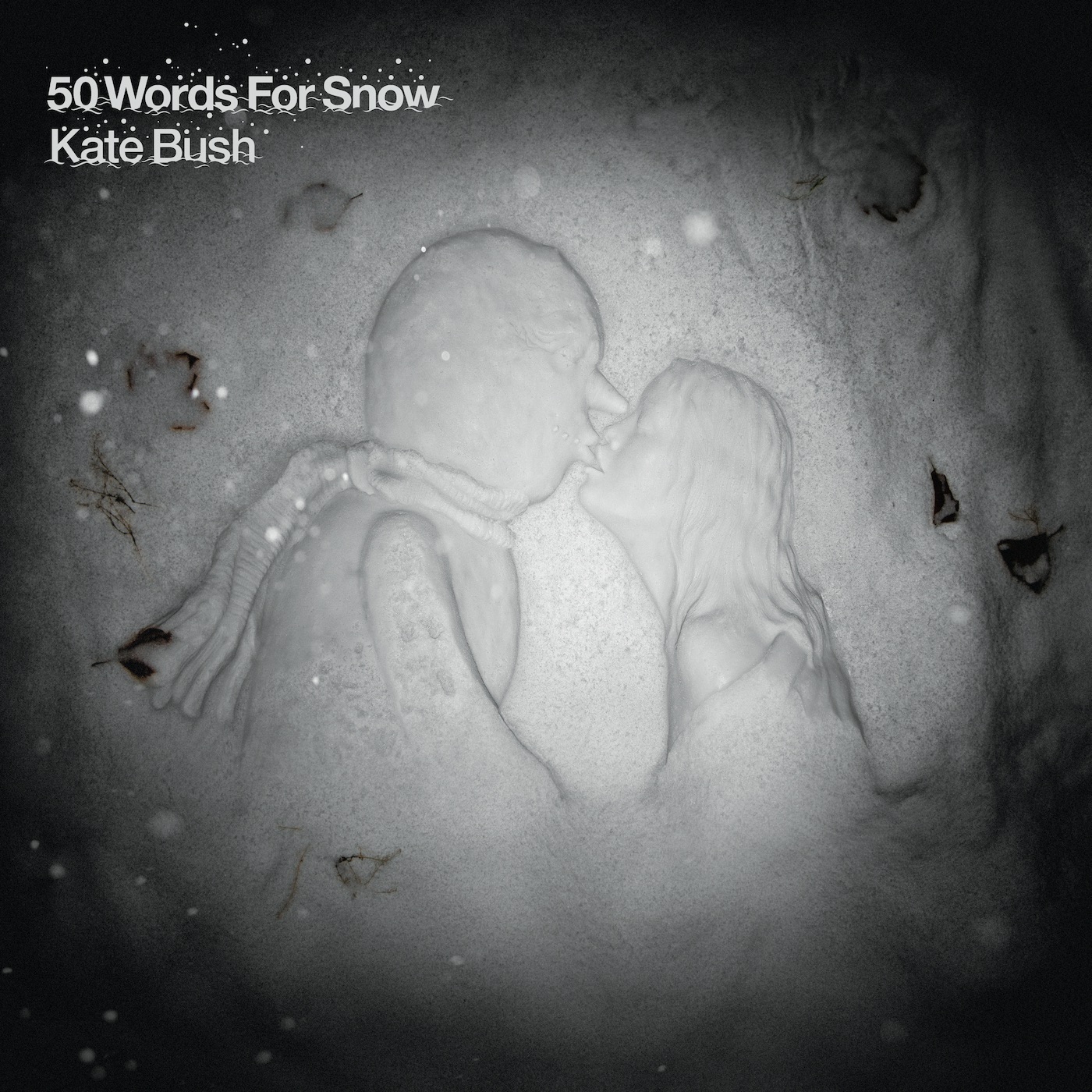 Kate Bush - 50 Words for Snow (2018 Remaster)(190295501358)【24bit／44.1kHz】土耳其区-OppsUnote音乐广场