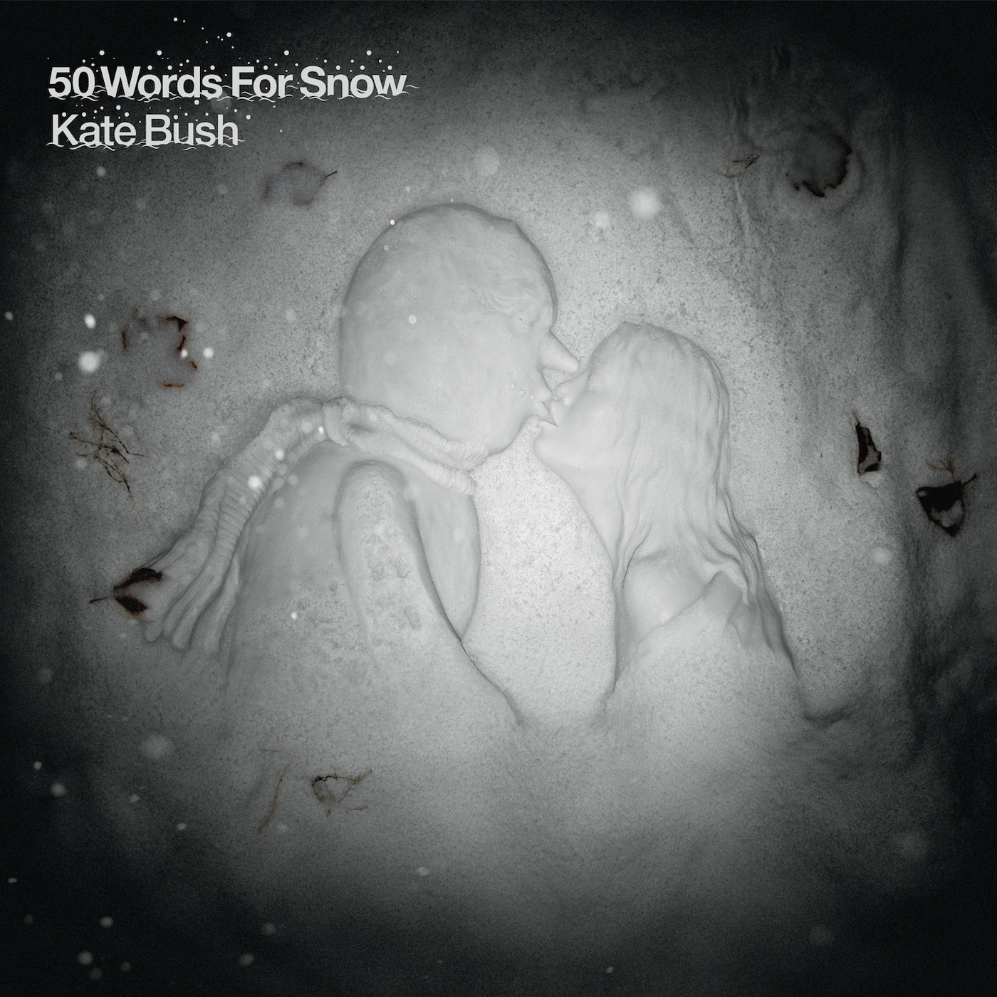 Kate Bush - 50 Words for Snow(5099973013051)【16bit／44.1kHz】土耳其区-OppsUnote音乐广场