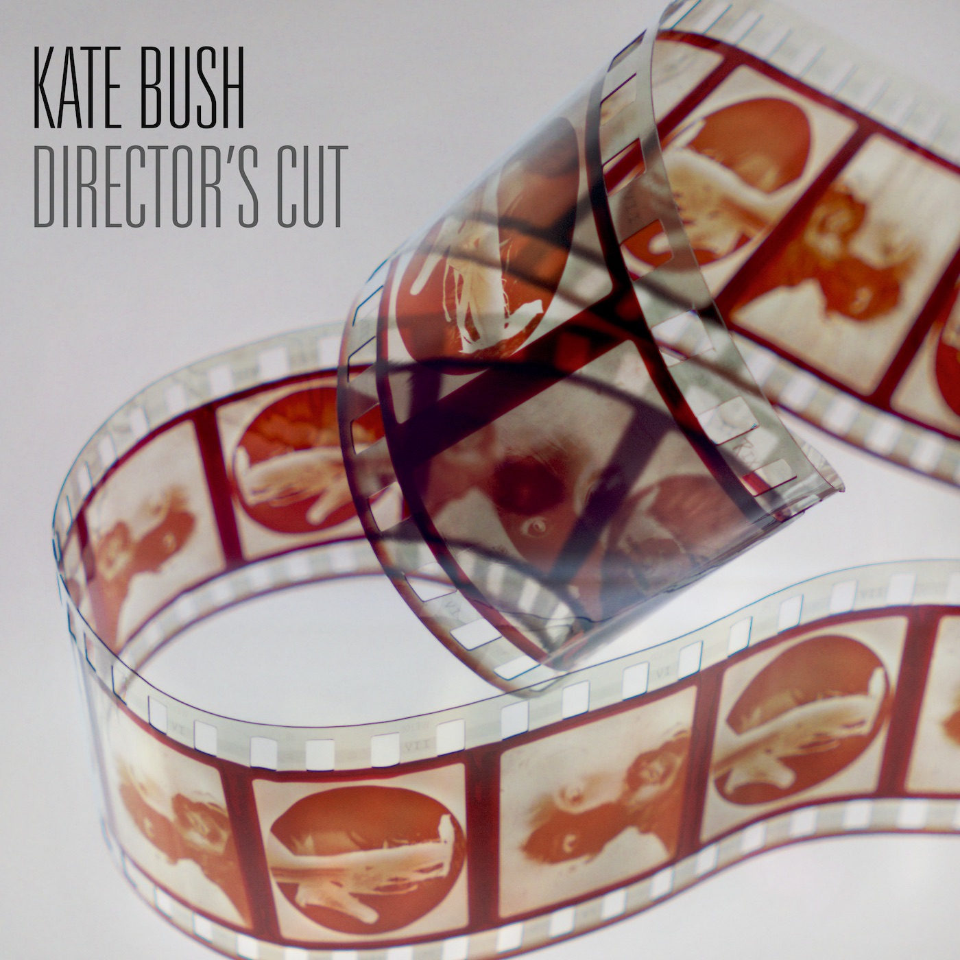 Kate Bush - Director's Cut (2018 Remaster)(190295501365)【24bit／44.1kHz】土耳其区-OppsUnote音乐广场