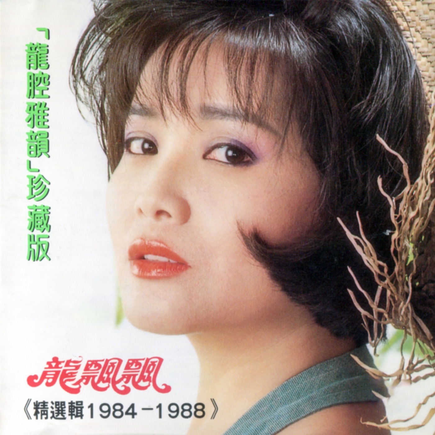 龙飘飘 – 龙腔雅韵珍藏版 (精选辑1984 – 1988) 修复版【16bit／44.1kHz】台湾区-OppsUnote音乐广场