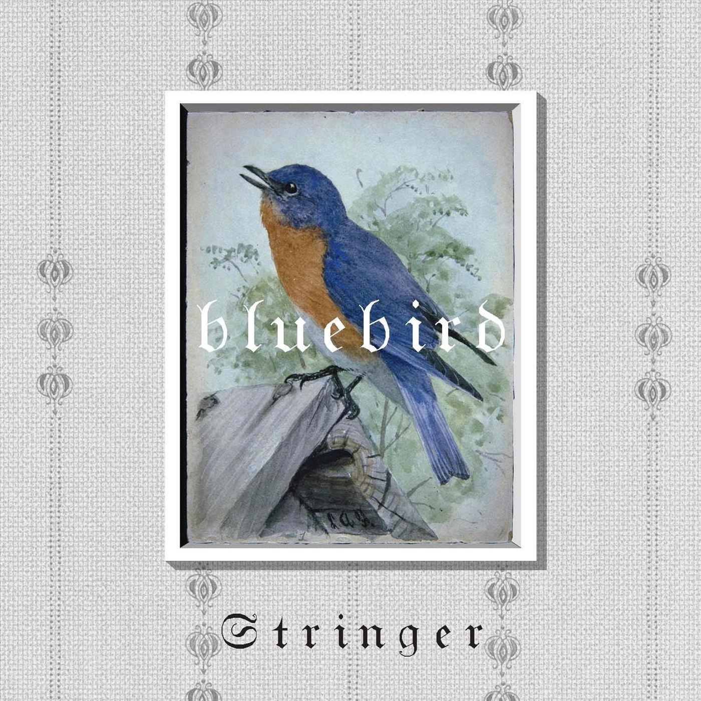 弦子 – Bluebird(195448242645)【16bit／44.1kHz】台湾区-OppsUnote音乐广场