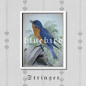 弦子 – Bluebird(195448242645)【16bit／44.1kHz】台湾区-OppsUnote音乐广场
