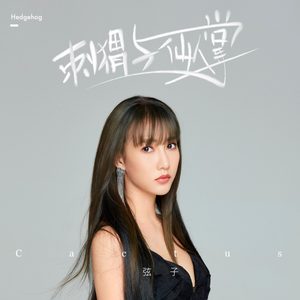 弦子 – 刺蝟与仙人掌(《我的奇怪朋友》影视剧插曲) – Single(4894894776433)【16bit／44.1kHz】台湾区-OppsUnote音乐广场